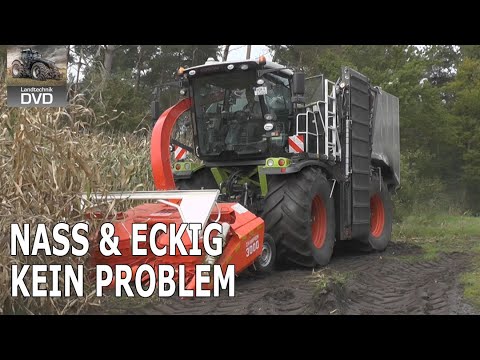 Prototyp: Der Krude Aufbau auf dem Claas Xerion 3300 mit Kemper Vorsatz | Maisernte 2025 | Maïs 2025