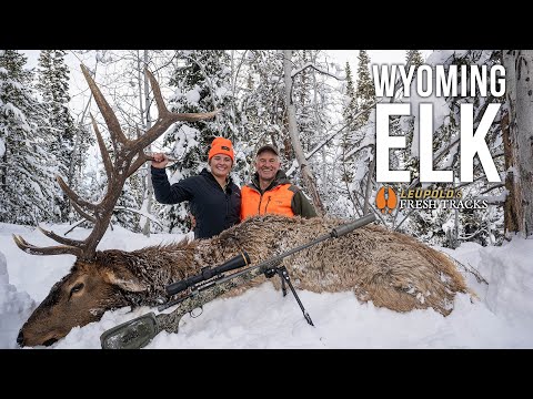 BIG BULL DOWN | Late-Season Elk Hunt with My Niece