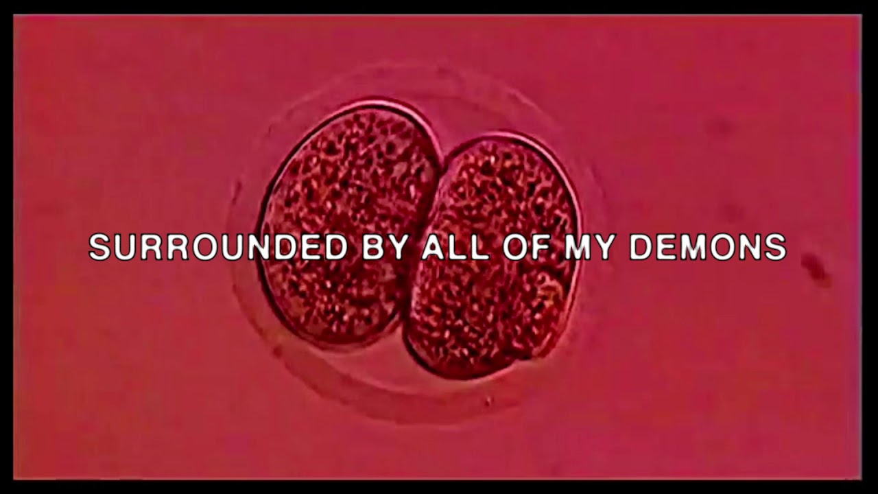 $uicideboy$  – That Just Isn't Empirically Possible (Lyric Video)