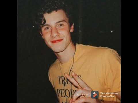 Shawn mendes // Always been you