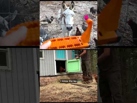 Survival Expert on Zombie Apocalypse #survival