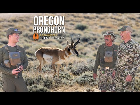 Chasing Pronghorn & Exploring Oregon’s Changing Landscape