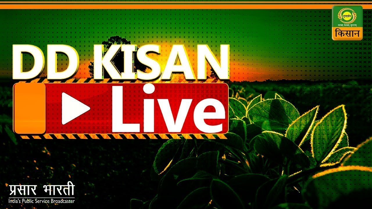 DD Kisan Live 24/7 🌾