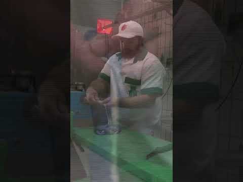 Butcher Creates Party-Colored Bratwurst for German Elections | DRM News | AC1B