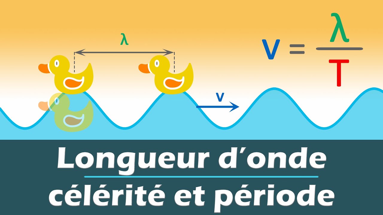 Ondes mécaniques périodiques : longueur, vitesse, période