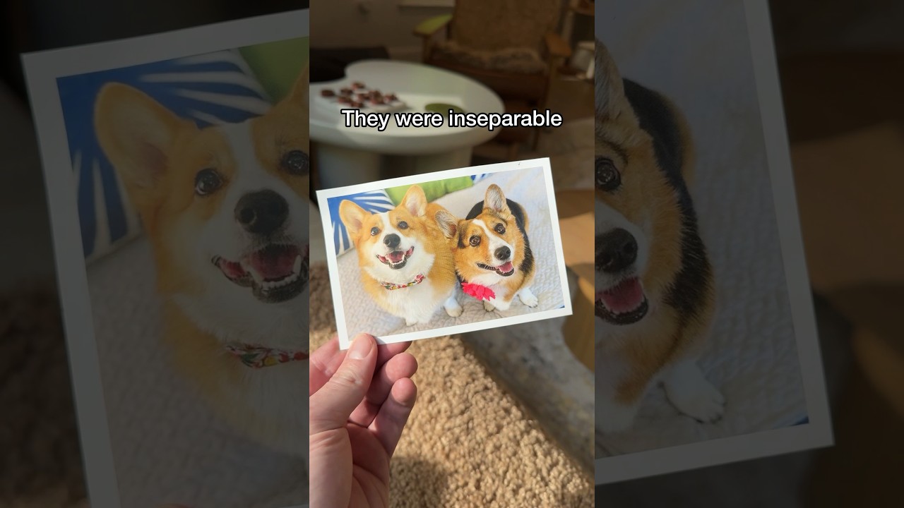 Received Something Special ✨