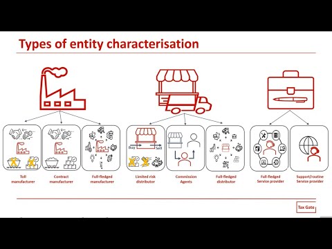 Transfer Pricing & Entity Characterisation π