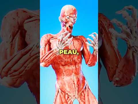 Pourriez-vous porter la peau dâune autre personne ? đ§ââïž
