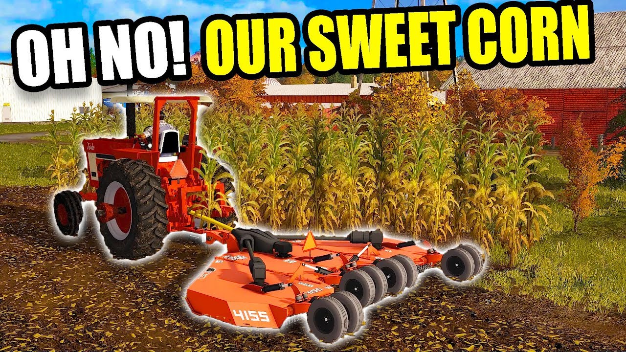 Mowing Mrs. Squad's Corn with Rhino π | Farming Simulator 2017