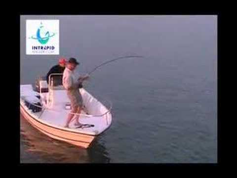 Green Tide: New Zealand's Premier Saltwater Fly Fishing 🌊