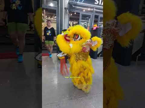 Múa Lân Mini dễ thương đi tập gym đoàn LSR Hồng Lân #mualan2025 #mualantrungthu #mualansurong