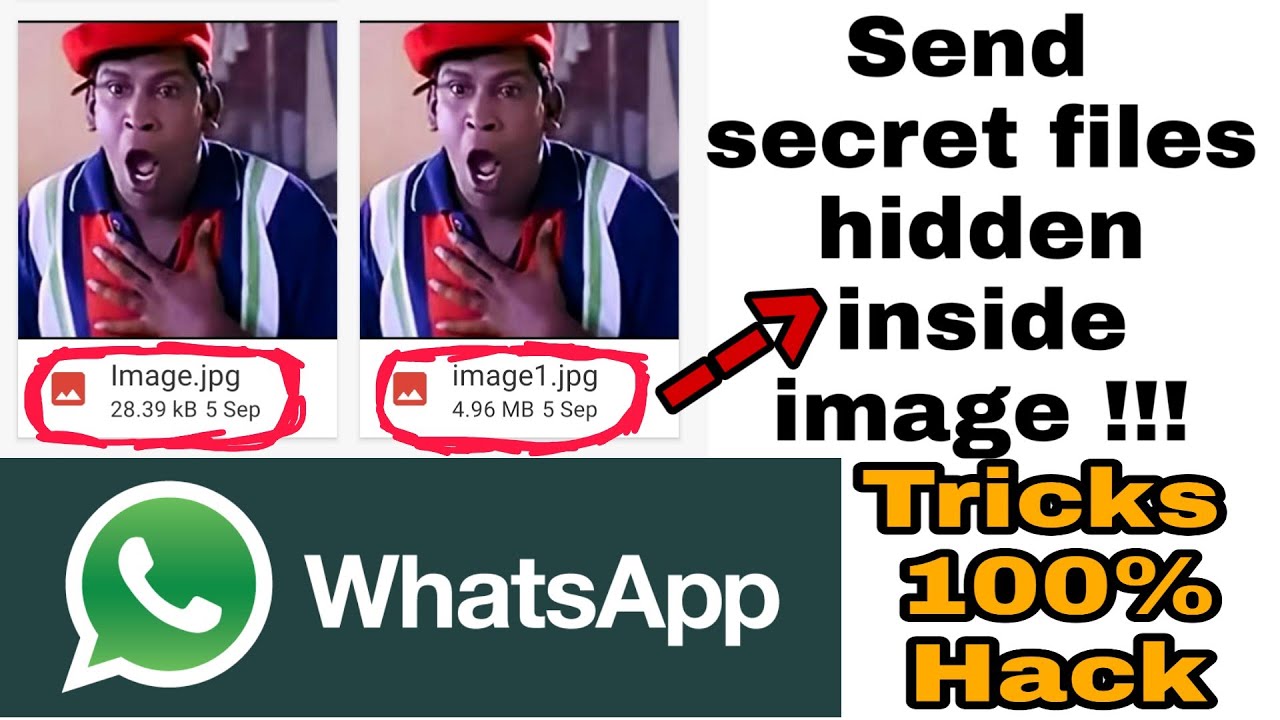 WhatsApp-இல் ரகசிய புகைப்படம் மற்றும் கோப்புகளை பாதுகாப்புடன் அனுப்பும் வழிகள் 🔒