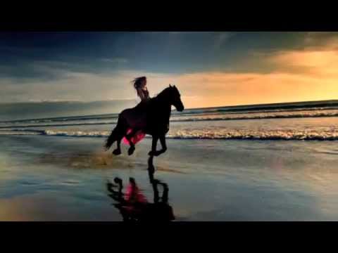 CIRQUE DU SOLEIL - ALEGRIA Show 🎪