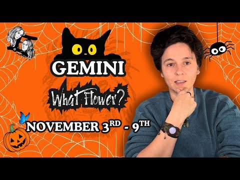 GEMINI ♊︎ - "What Flower?" NOVEMBER 3RD - 9TH | Tarot Card Reading