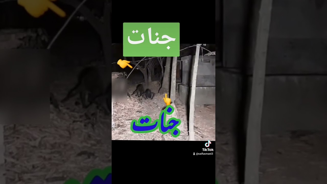 Real Jin جن: حیرت انگیز حقائق اور کہانیاں 🌙