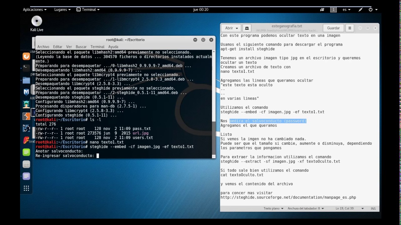 Esteganografía - Steghide kali linux