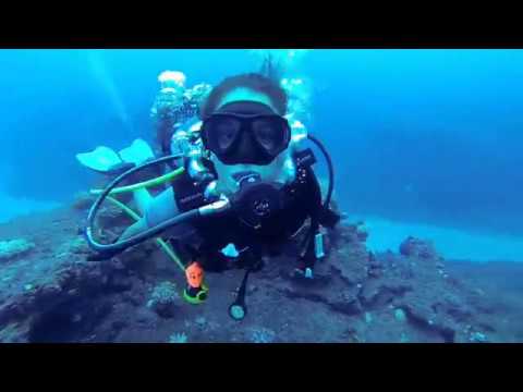 Aventures tropicales à La Réunion 2013-2014 🌴