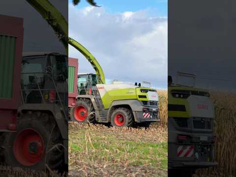 Der neue Claas Jaguar!🐆🌽 #farming #jpagrar #landwirtschaft #agriculture #maisernte #claasjaguar