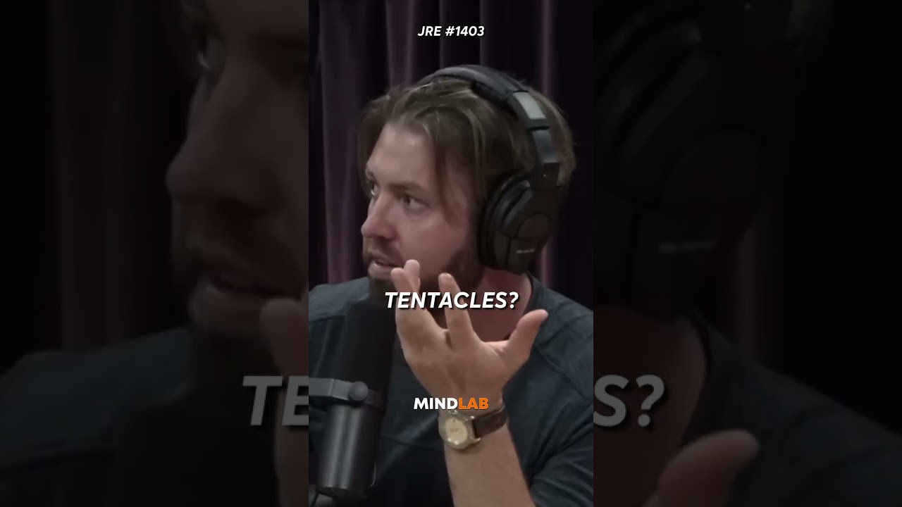 Joe Rogan On The GIANT Magnapinna Squid😳