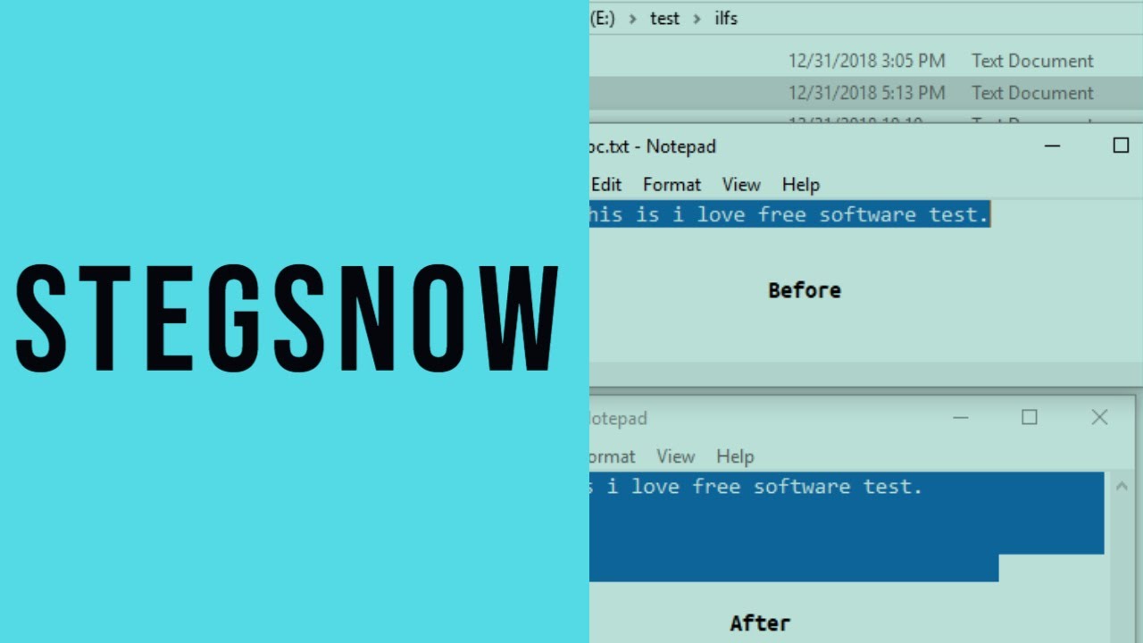 StegSnow || Whitespace Steganography