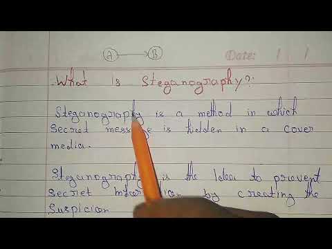 steganography/steganography in hindi/steganography example/ steganography in cyber security|#mscoder