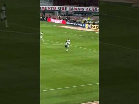 SÃO PAULO 2X2 PALMEIRAS| GOLAÇO DO FLACO LOPEZ