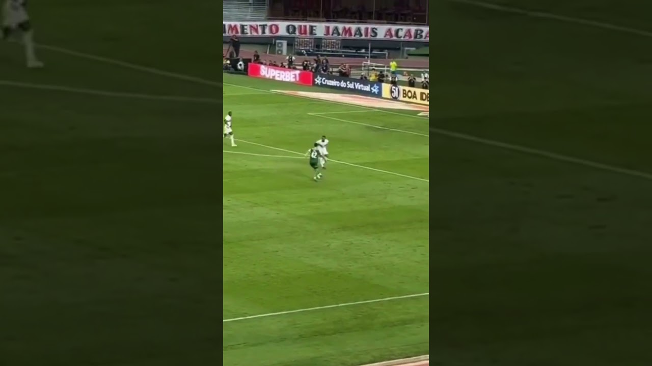 São Paulo 2x2 Palmeiras | Espectacular Gol do Flaco López ⚽