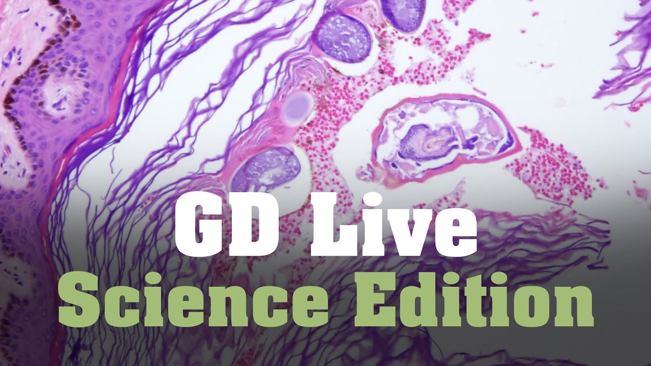 Gorilla Doctors LIVE: Science Edition Ep.1 🦍