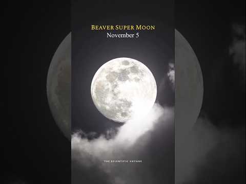 Upcoming Astronomical events in November 🌌🌕✨