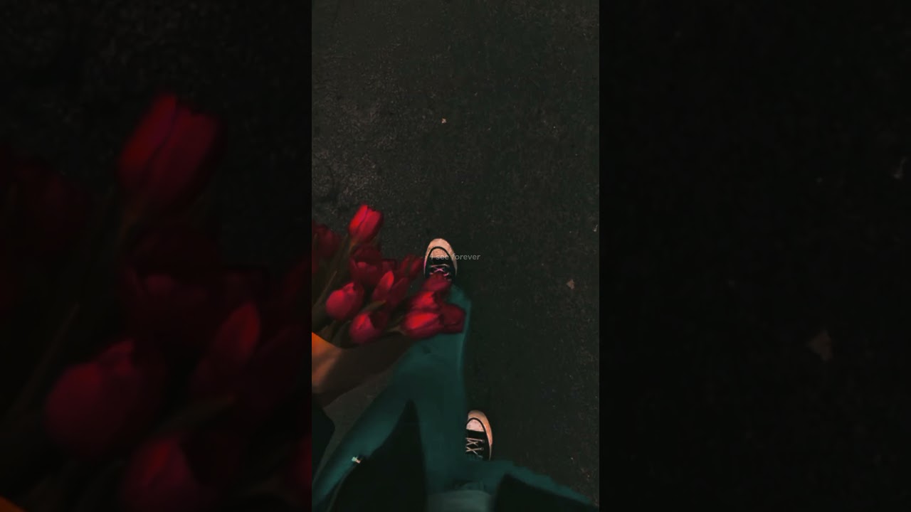 Dandelions by Ruth B 🎶 | Aesthetic Lyrics & WhatsApp Status | Slow & Speed Up Versions