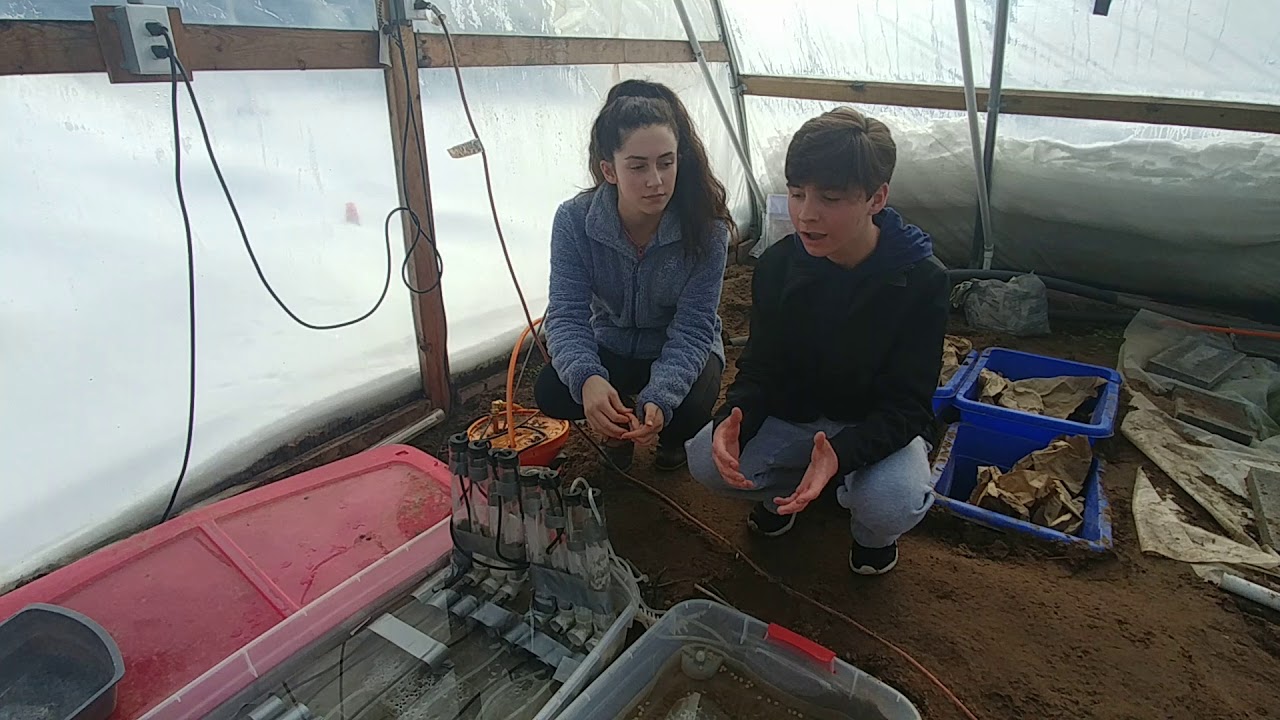 CERF: Exploring Algae as a Sustainable Winter Energy Source 🌱