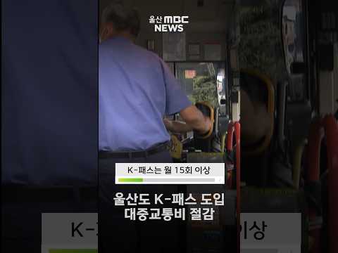 ์ธ์ฐ๋ K-ํจ์ค ๋์
, ๋์ค๊ตํต๋น ์ ๊ฐ