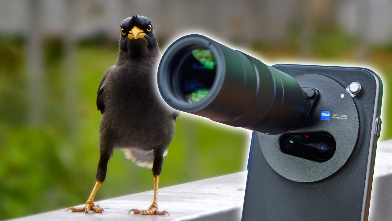 vivo X300 Pro Camera & Photographer Kit Review 📸