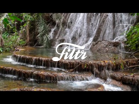 Sons da Natureza para Relaxar, Estudar e Meditar