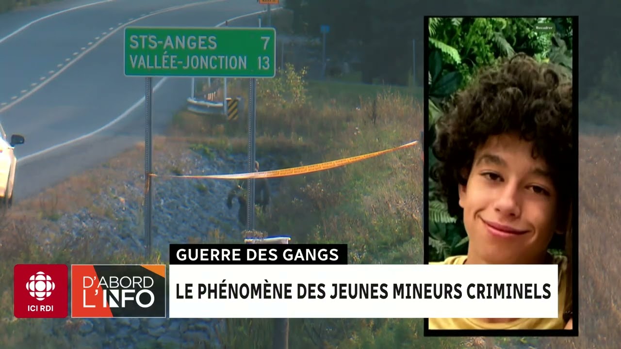 Jeunes mineurs et criminalité : Comprendre le phénomène en pleine expansion 🚸