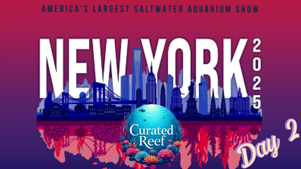 REEFAPALOOZA NY 2025: DAY 2