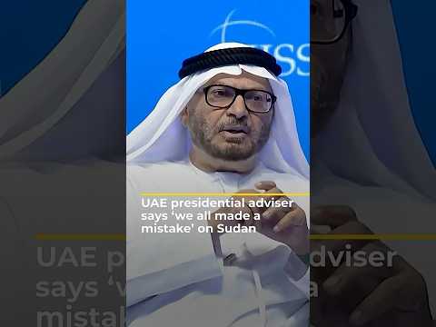 UAE presidential adviser says 'we all made a mistake' on Sudan | AJ #shorts