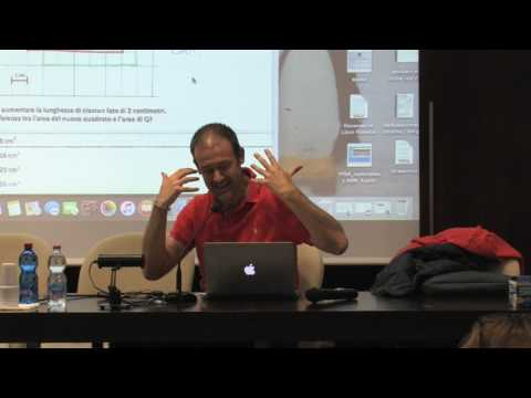 Le competenze in matematica e le difficoltà... - Accademia dei Lincei e Scuola Normale - 05-04-2017