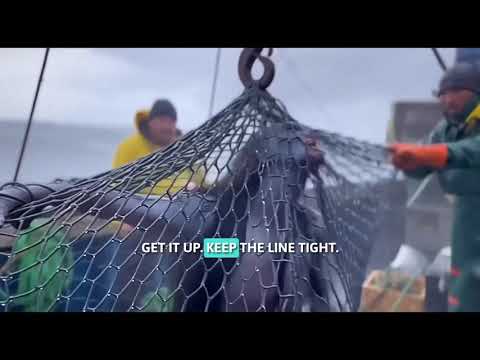 Deep Sea Mermaid Sighting: Crew Vanishes π