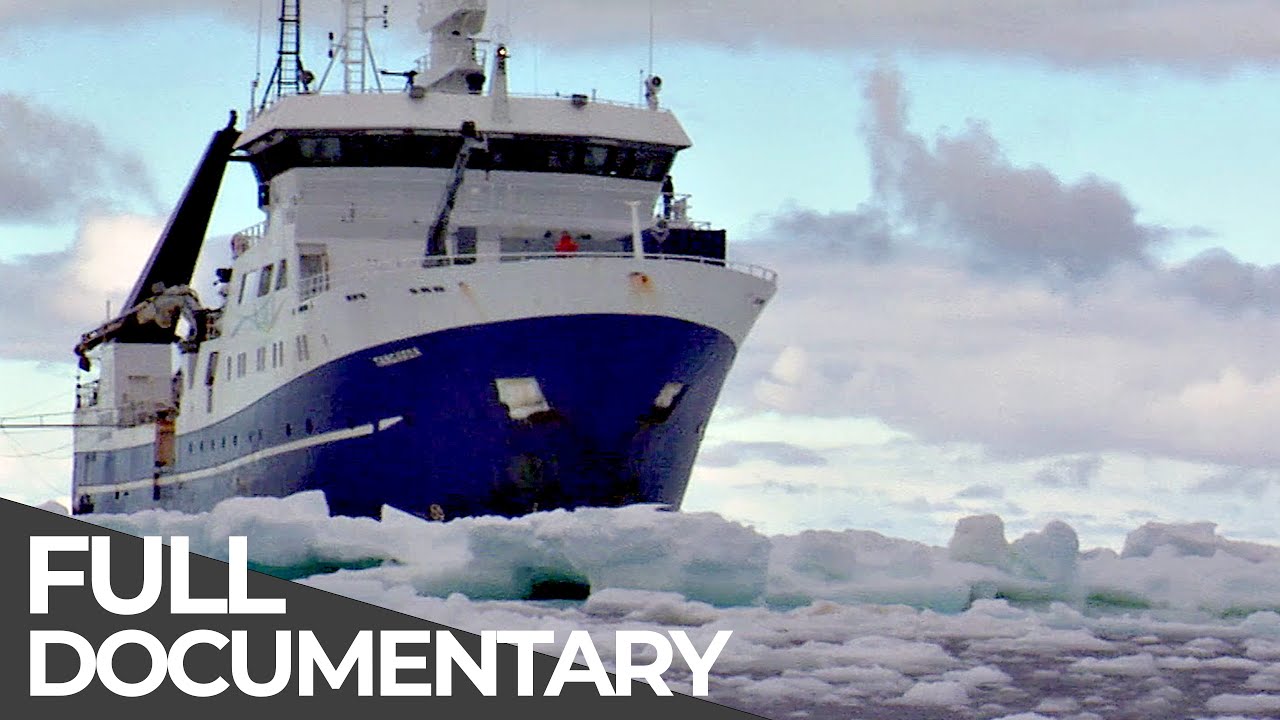 Expedition Antarctica | Free Documentary