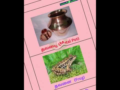 Same same but different Part 37 | அதாண்ணே இது பகுதி 37 | #Tamil_Lingo #Thulir_LEARN