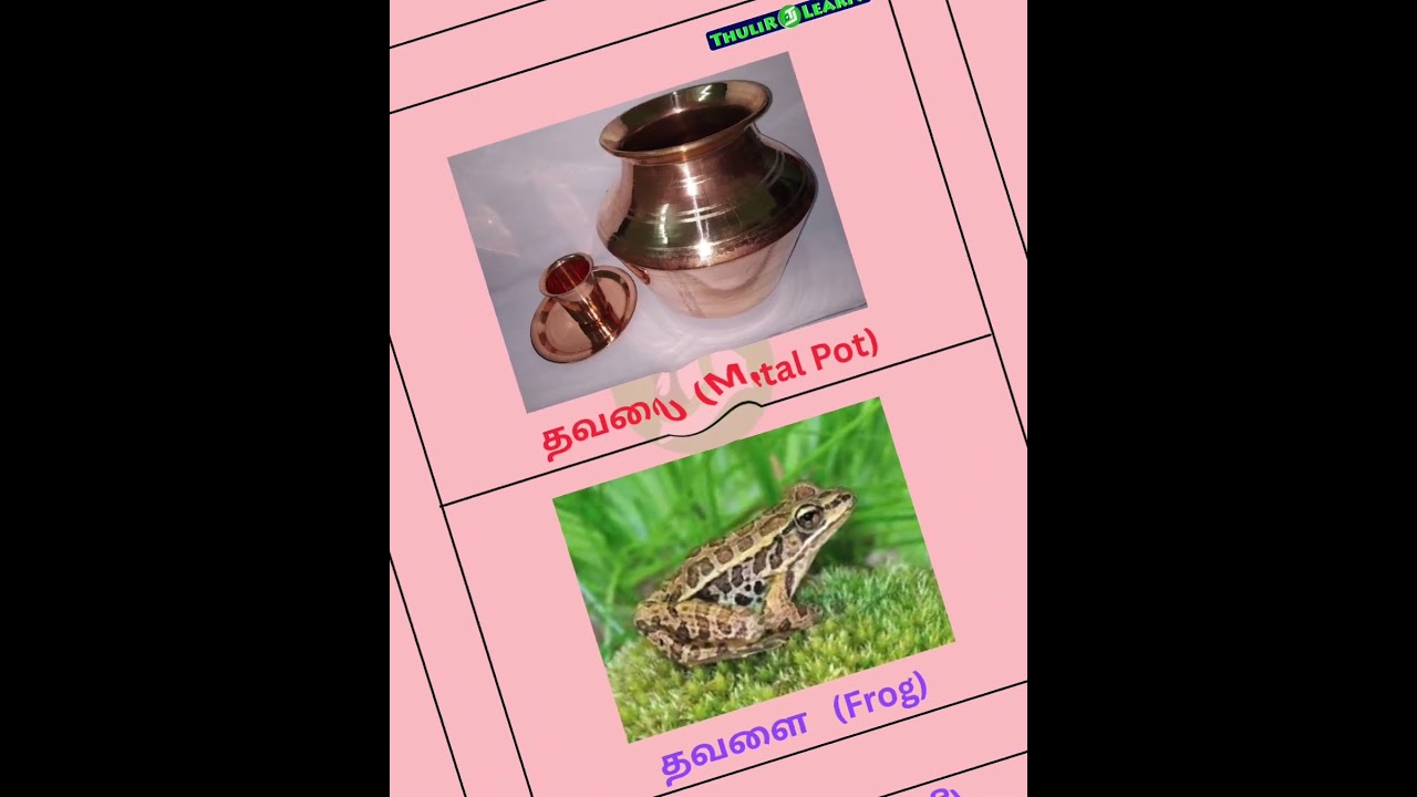 Same Same but Different Part 37 | Tamil Lingo Fun 😂