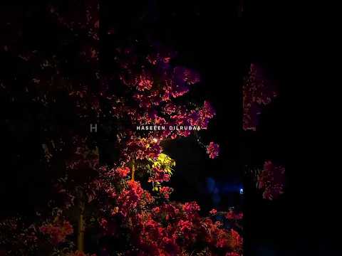 aanya_jain_aesthetic  