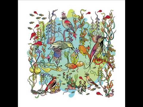 Little Bittern by John Zorn | Top Quality on YouTube