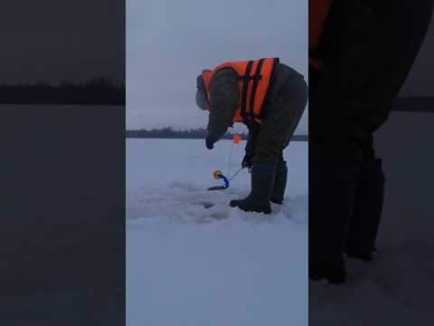 Зимняя рыбалка на жерлицы, поймал щуку ч-1 #зимняярыбалка #мужскиеинтересы #щука #жерлицы