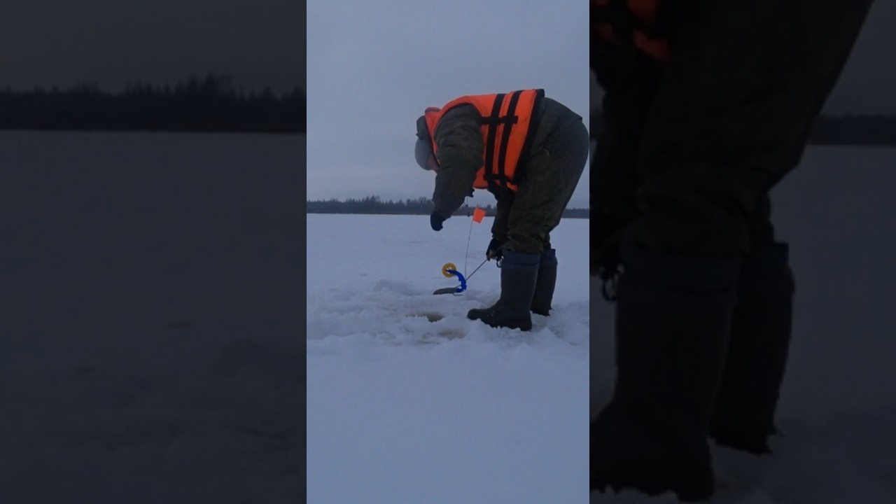 Зимняя рыбалка на жерлицы: как поймать щуку ❄️