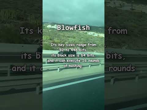 What is Blowfish? Blowfish Explained #security