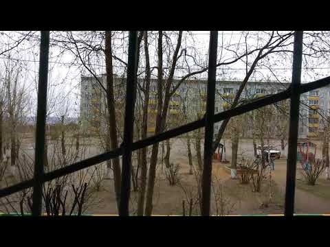 Погода в Забайкальском крае, город Чита