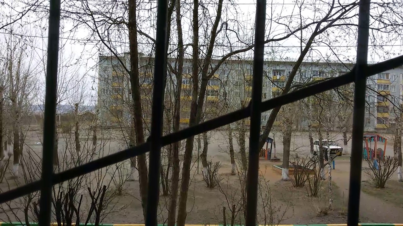 Погода в Чите, Забайкальский край: свежий прогноз и актуальные данные ☀️