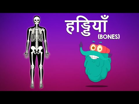 हड्डियों का परिचय | Dr. Binocs Show 🦴
